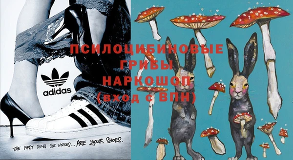 apvp Абаза