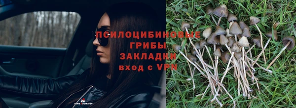 apvp Абаза